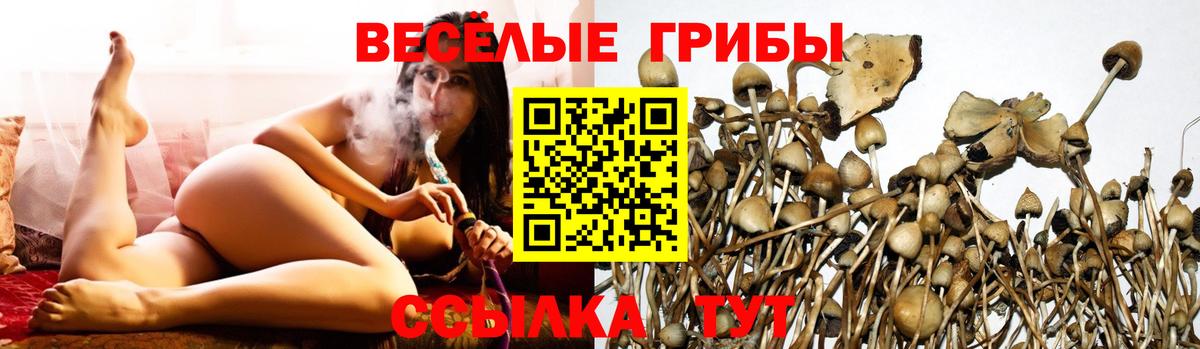 Псилоцибиновые грибы мицелий  Галлюциногенные грибы мухоморы  Вход с VPN  Екатеринбург 